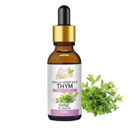 Thym à thymol